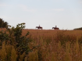 dscn0506